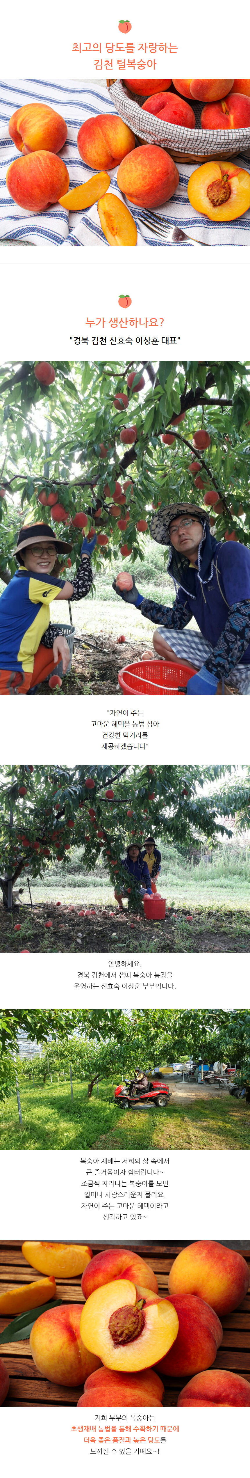 샙띠복숭아_02.jpg