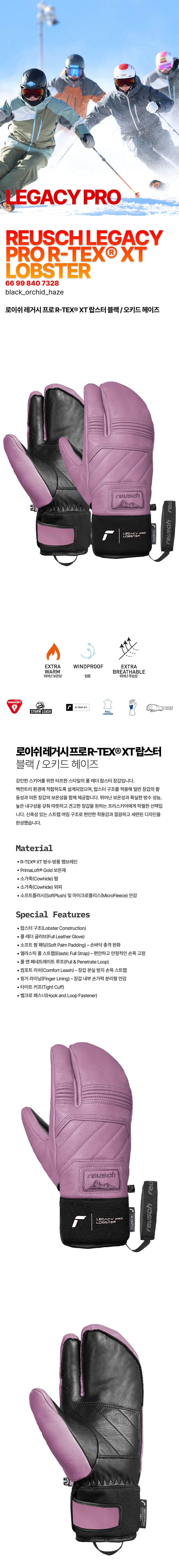 2627 레거시 오키드-1.jpg