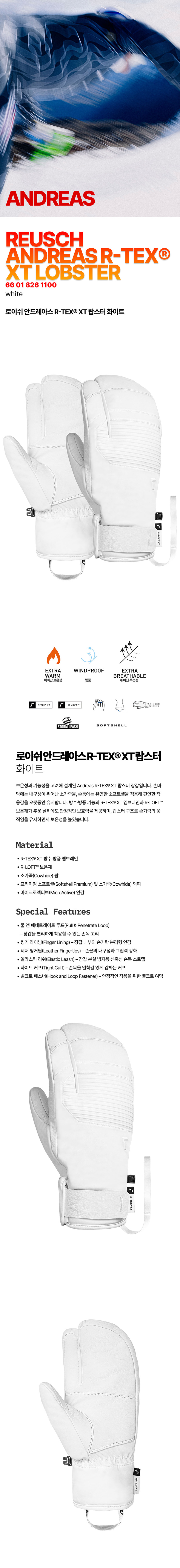 2627 안드레아스 흰-1.jpg