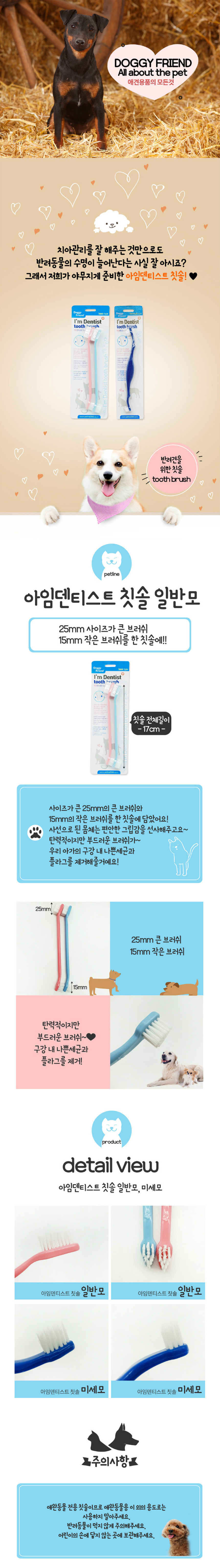 강아지 고양이 칫솔 일반모 2개입 1P 양치 치석관리 상세 이미지 2