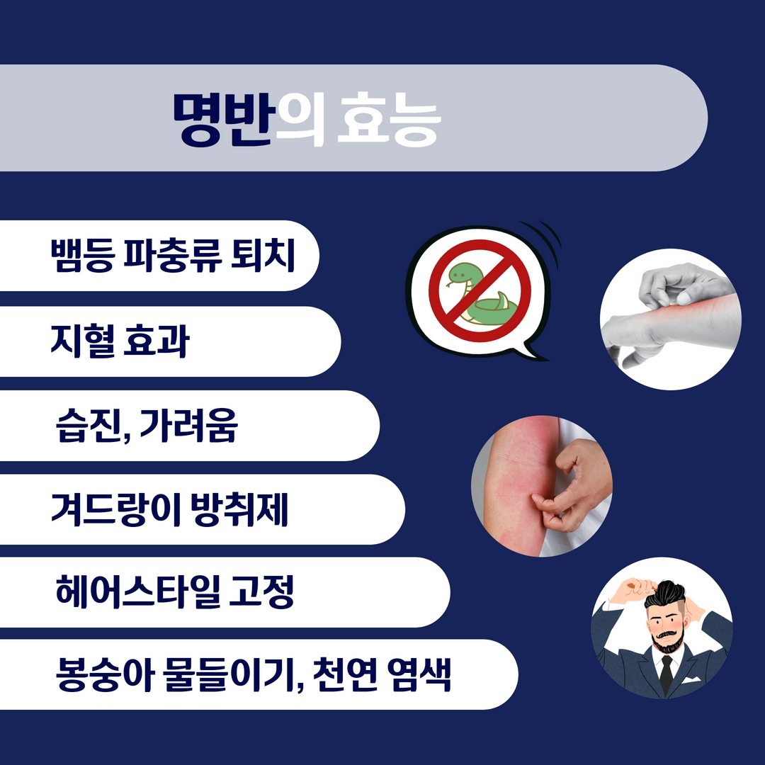 상세.jpg
