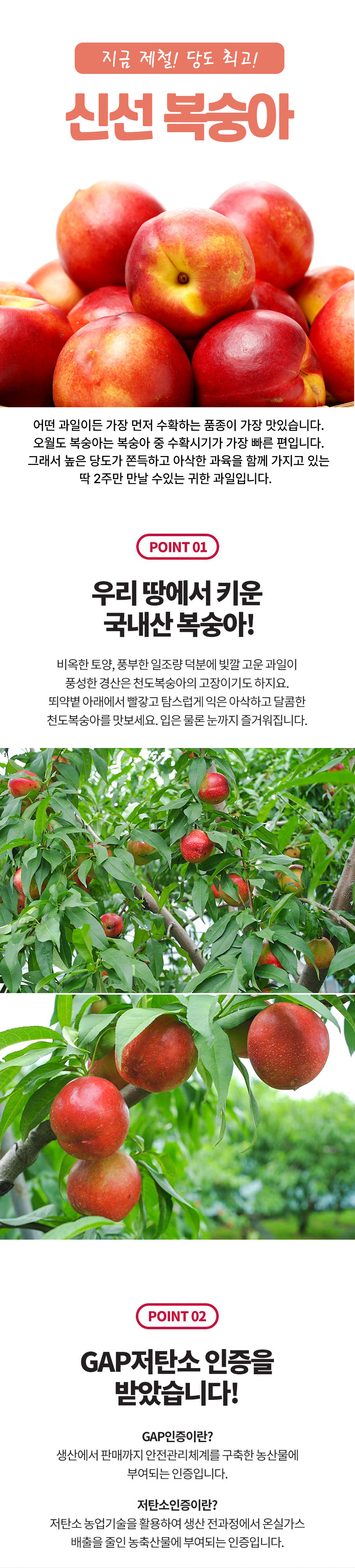 신선-복숭아-상세페이지_01.jpg