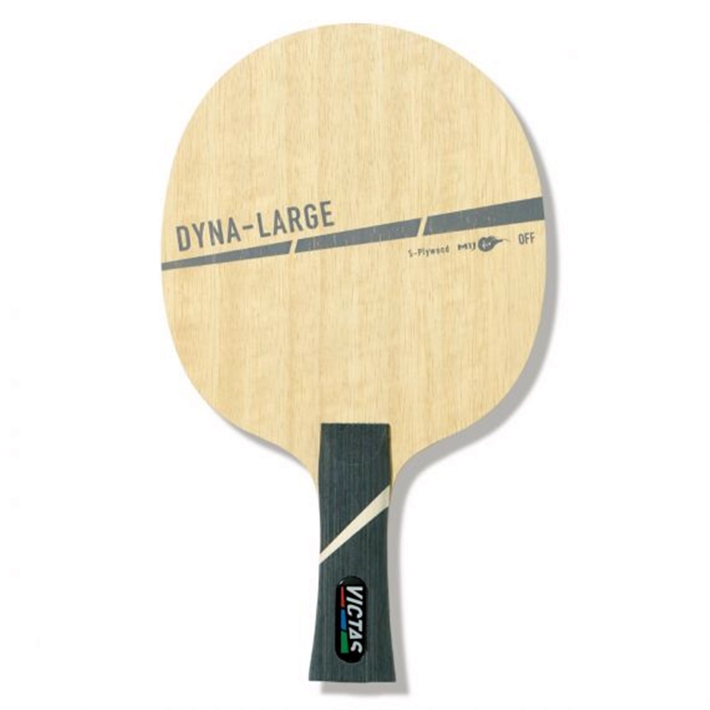 DYNA-LARGE - A.jpg