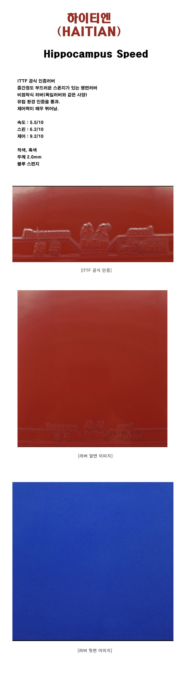 하이티엔 해마 - D1.jpg