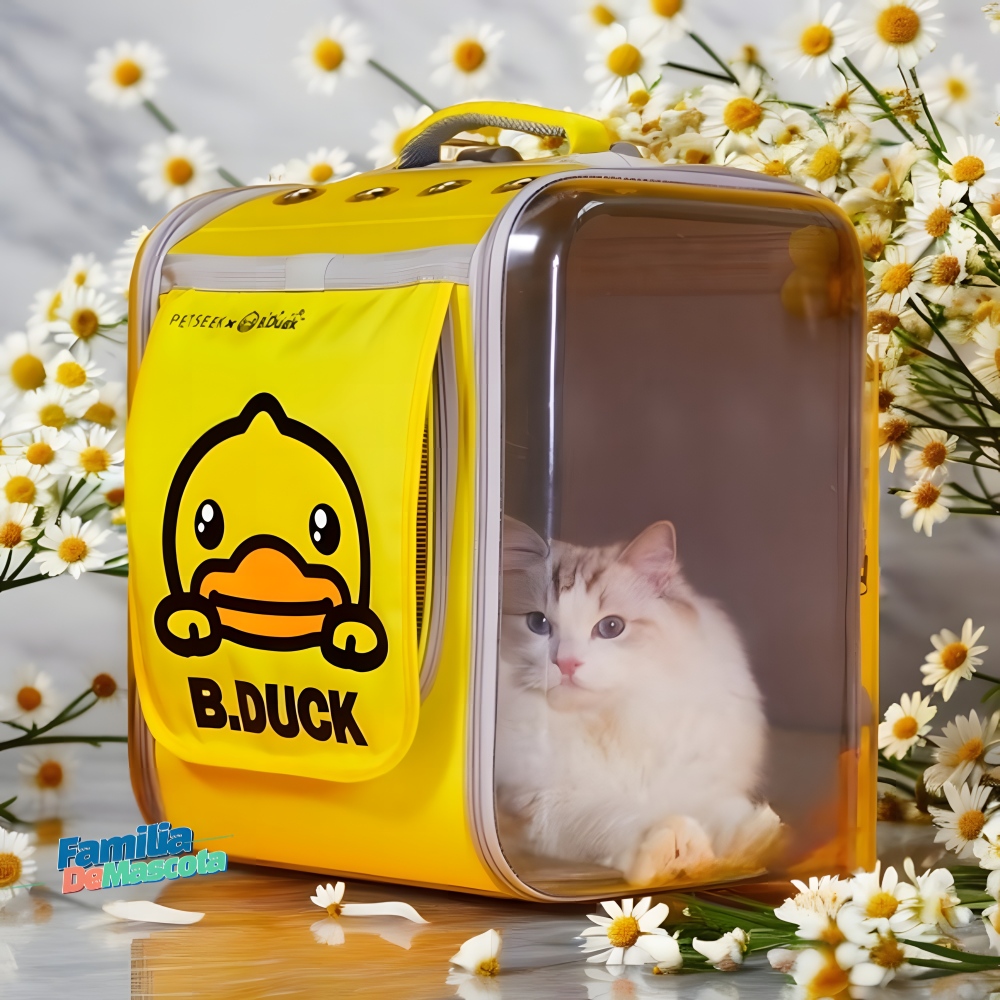 [FAMILIA] B. Duck 투명갭슐 백팩_반려동물 이동가방