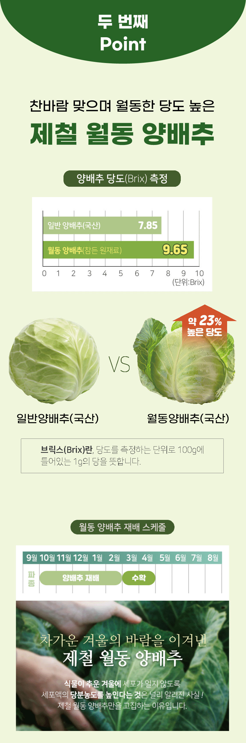 15_양배추즙1-1.png