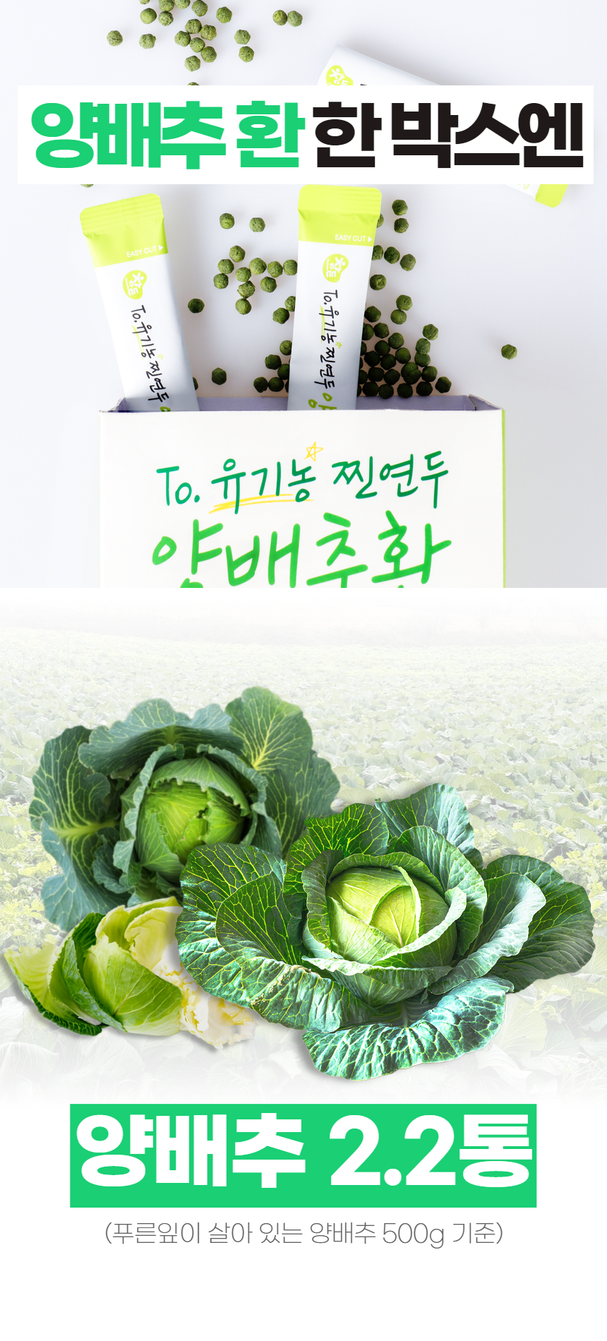 양배추환_34.png