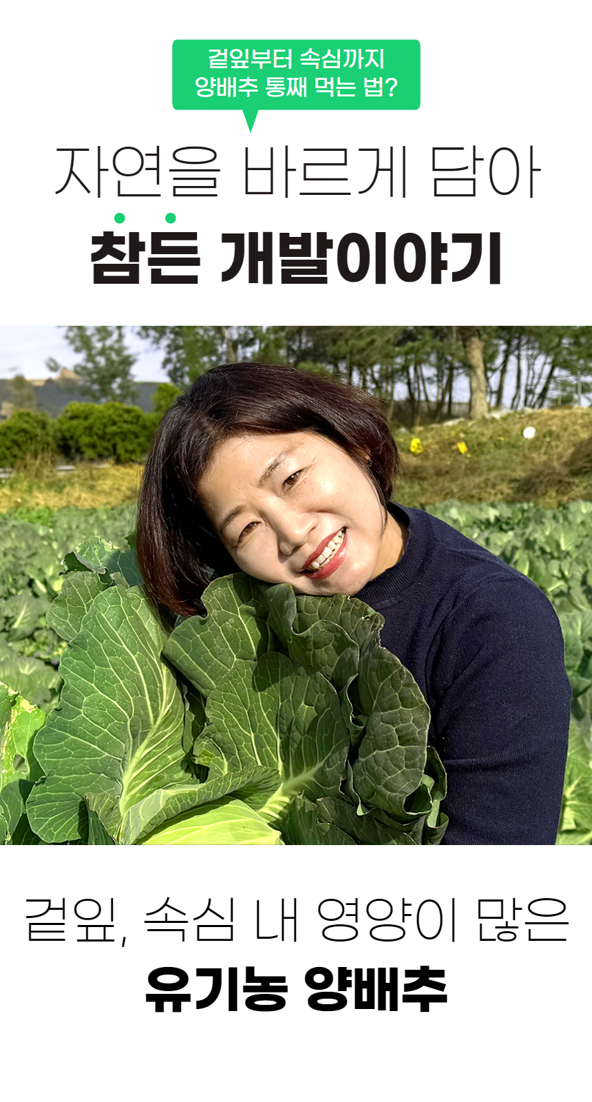양배추환_2-1.png