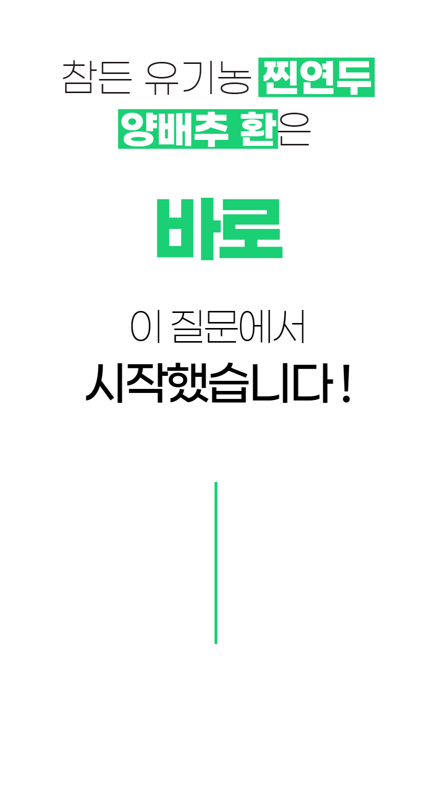 양배추환_3.png