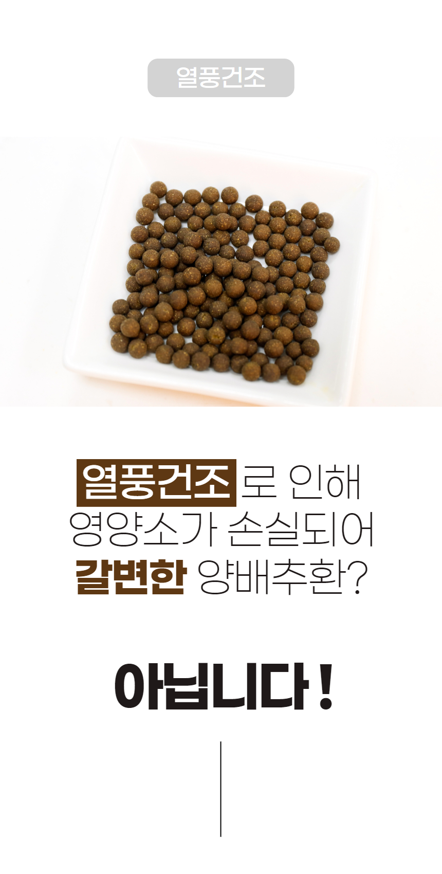 양배추환_16.jpg