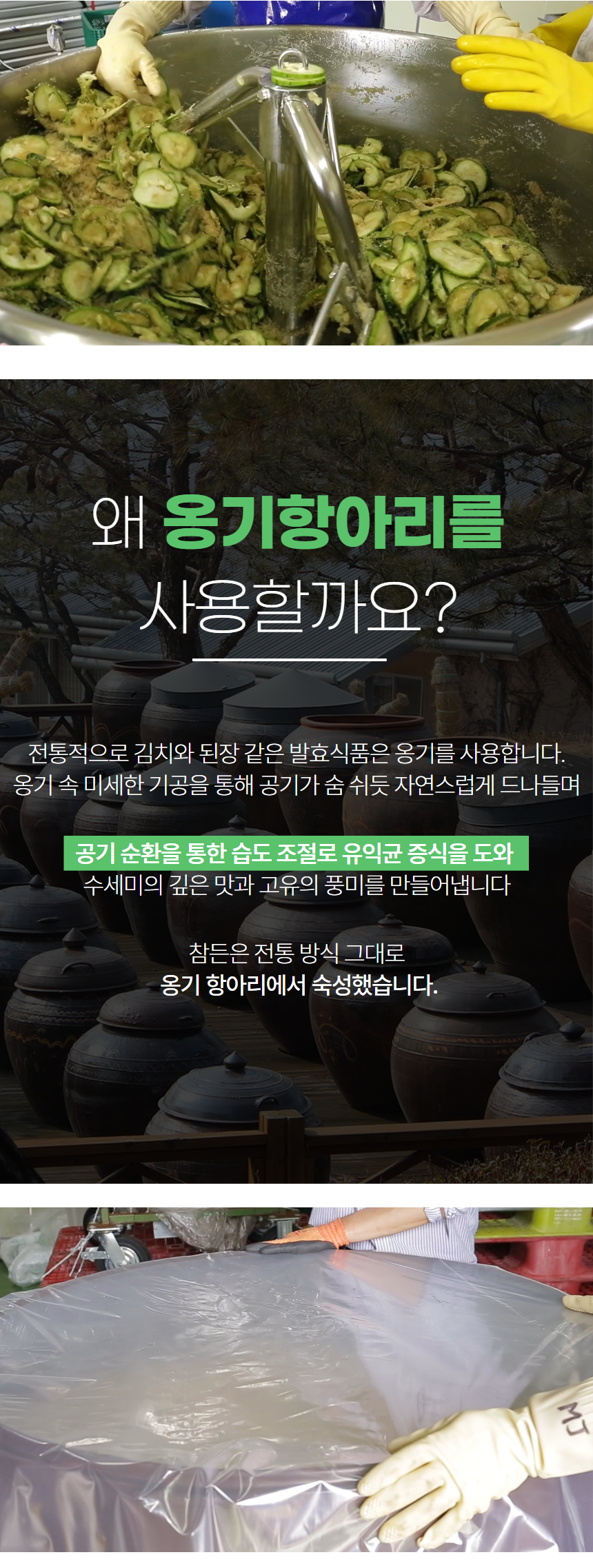수세미_9-1.png