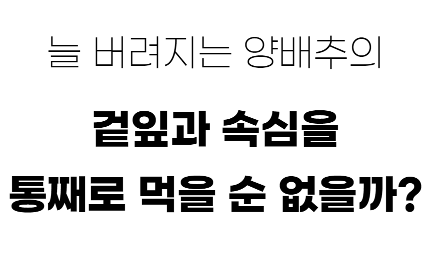 양배추환_2-2.png