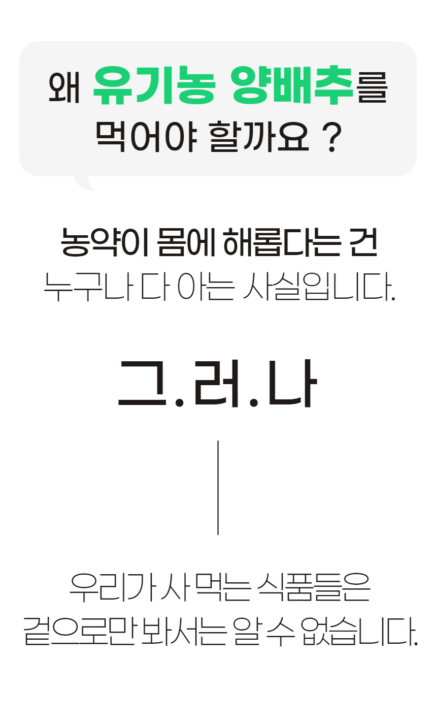 양배추환_23_이미지.jpg