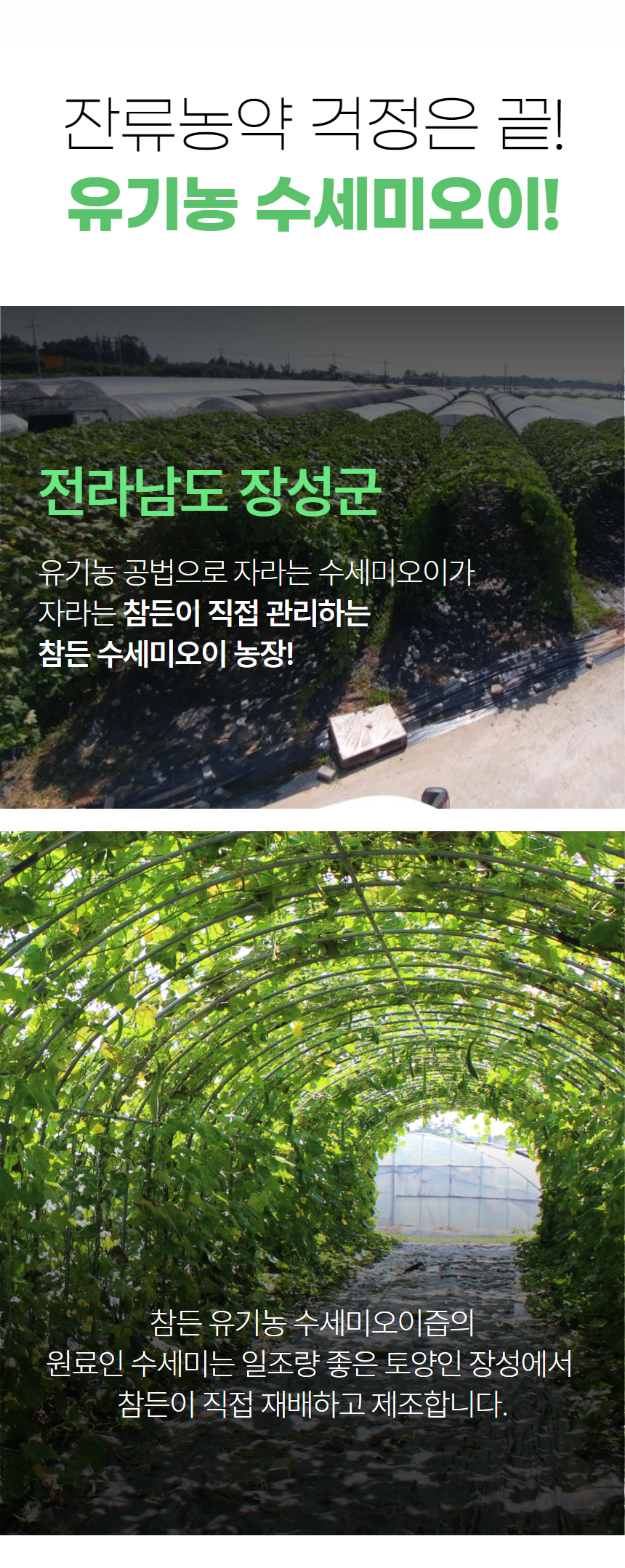 수세미_5.png