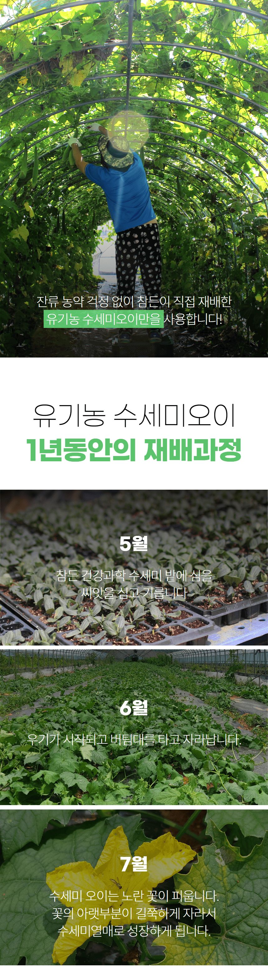 수세미_6.png