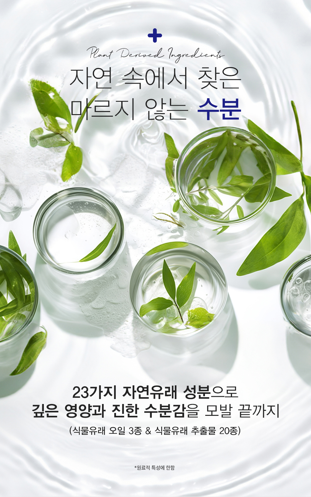 treatment_plus_1000g_07.jpg