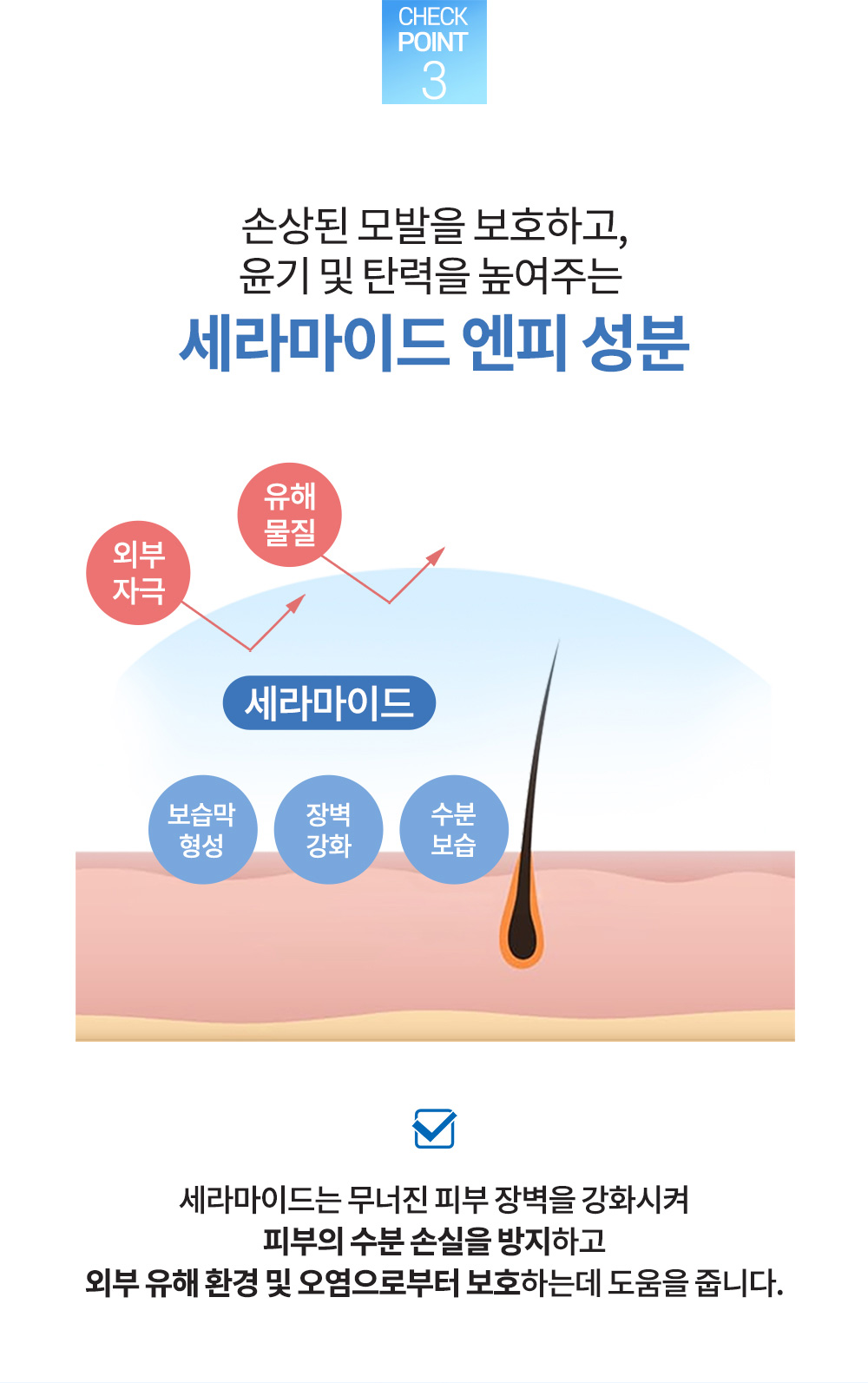 lpp_200_07.jpg