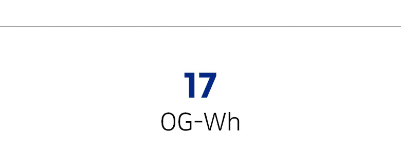 17-OGWH-0.jpg