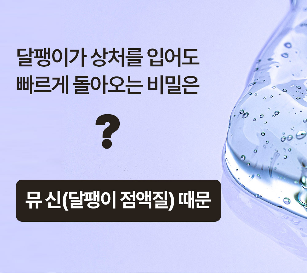 달팽이크림_리뉴얼_0_01.jpg
