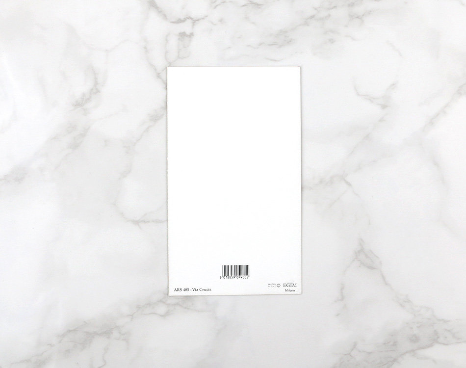 eg485-4.jpg