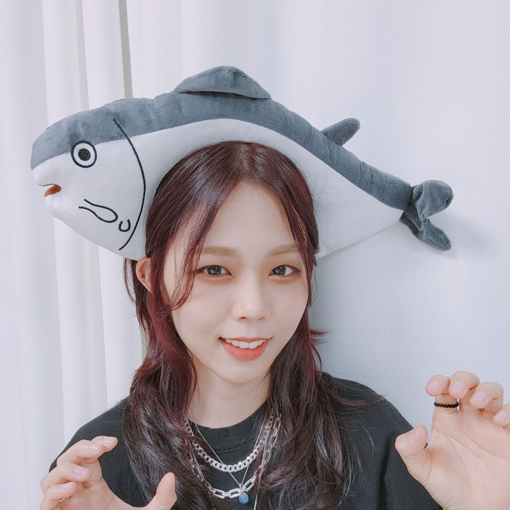 배너6.jpg