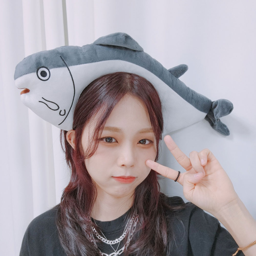 배너7.jpg