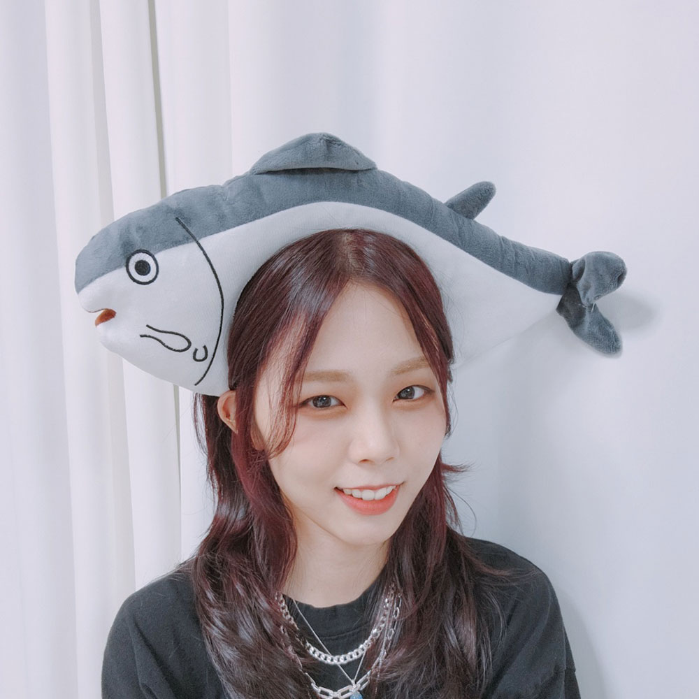 배너2.jpg
