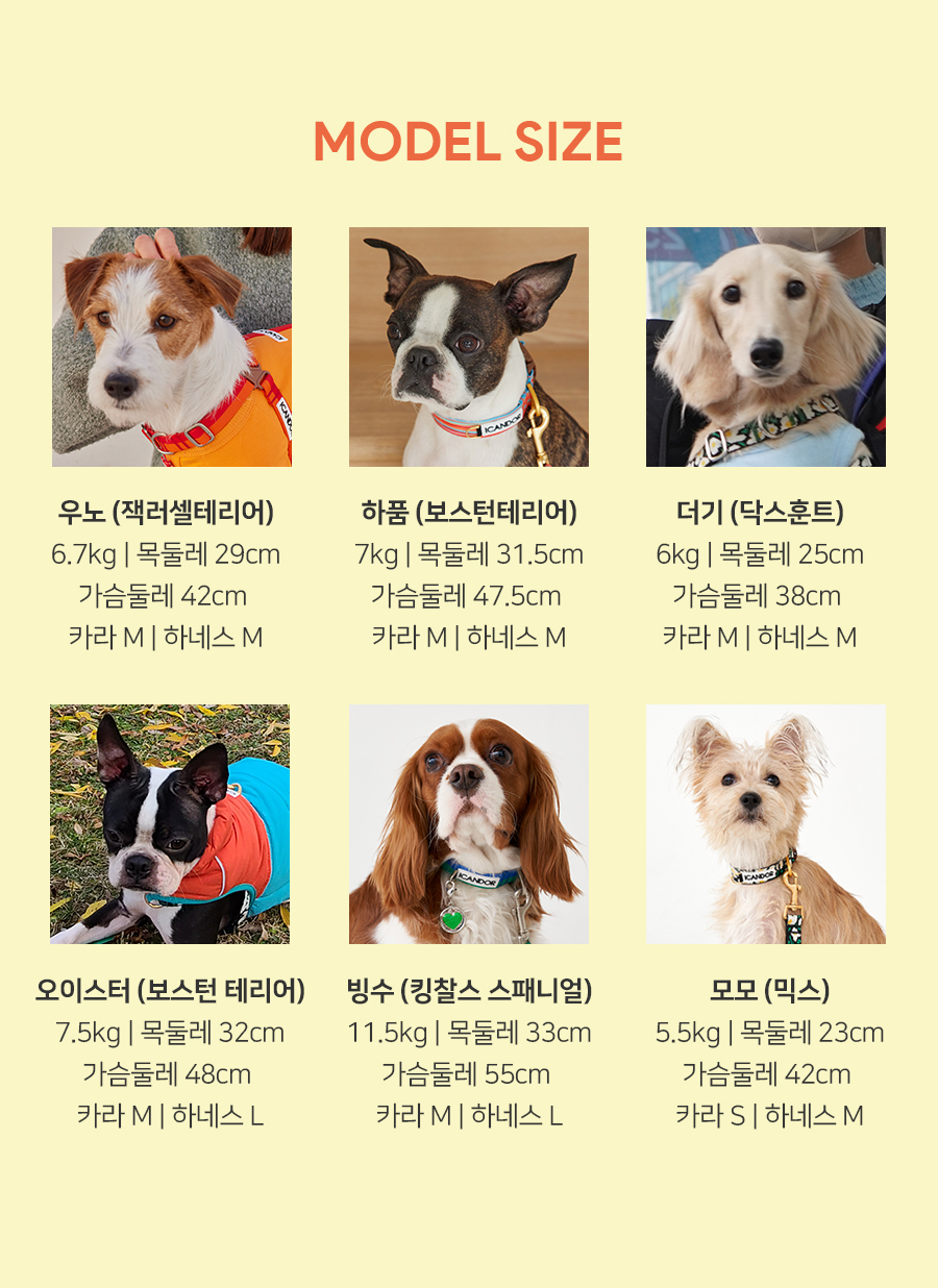 11_워크_모델사이즈.jpg