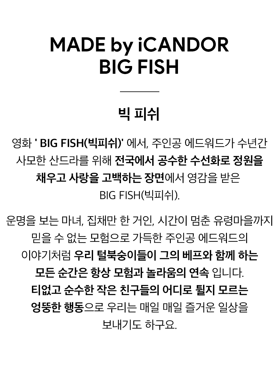 1_빅피쉬 스토리.jpg