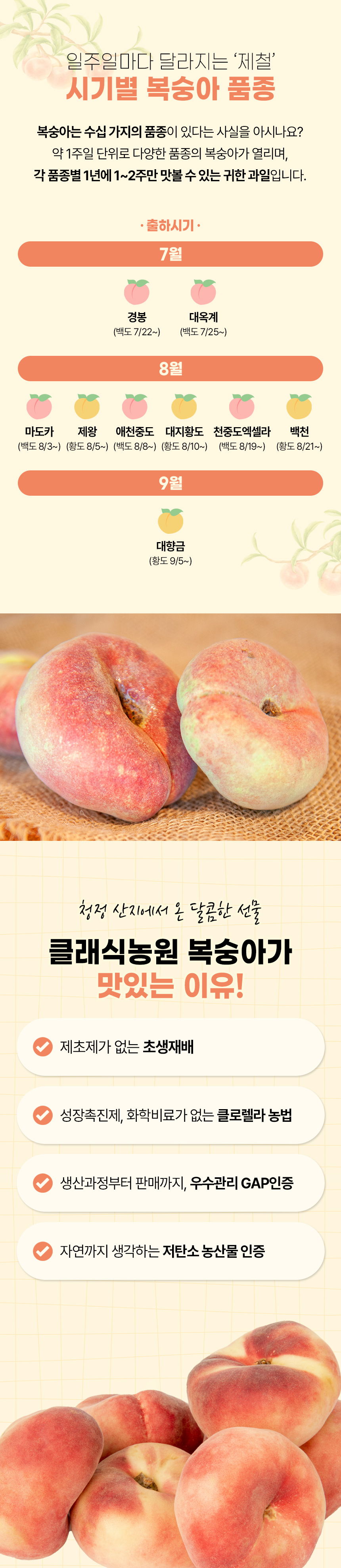 납작복숭아_03.jpg