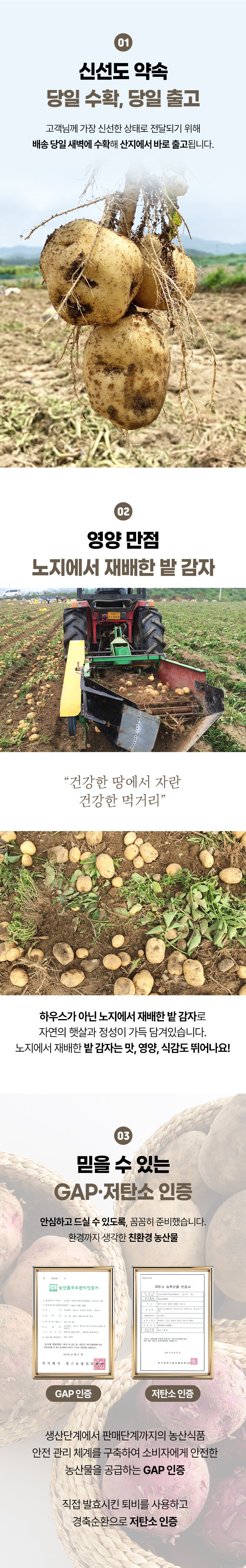감자_04.jpg