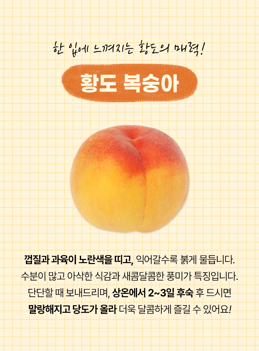 황도 복숭아_02.jpg
