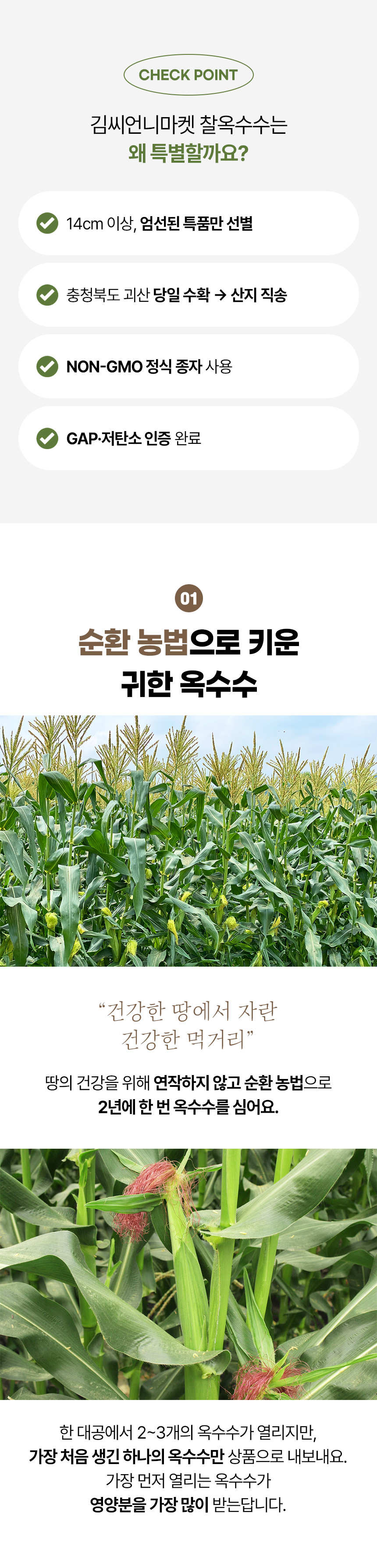 찰옥수수_03.jpg
