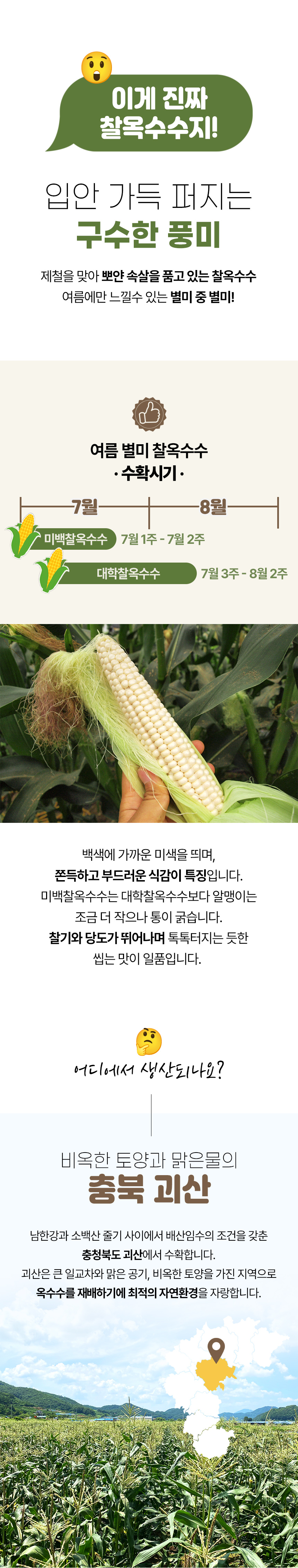 찰옥수수_02.jpg