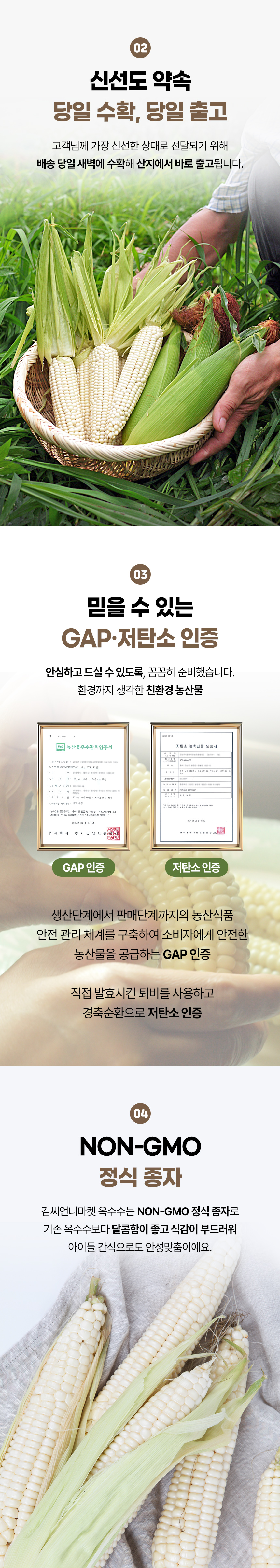 찰옥수수_04.jpg