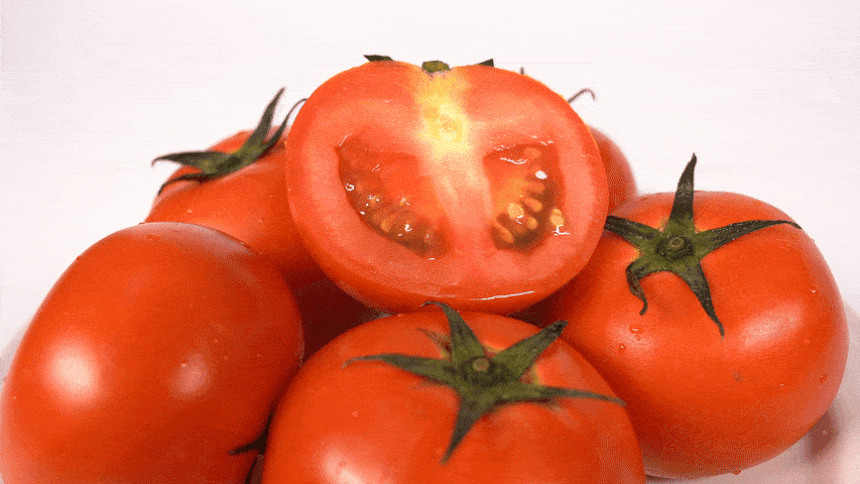 찰토마토_00.gif