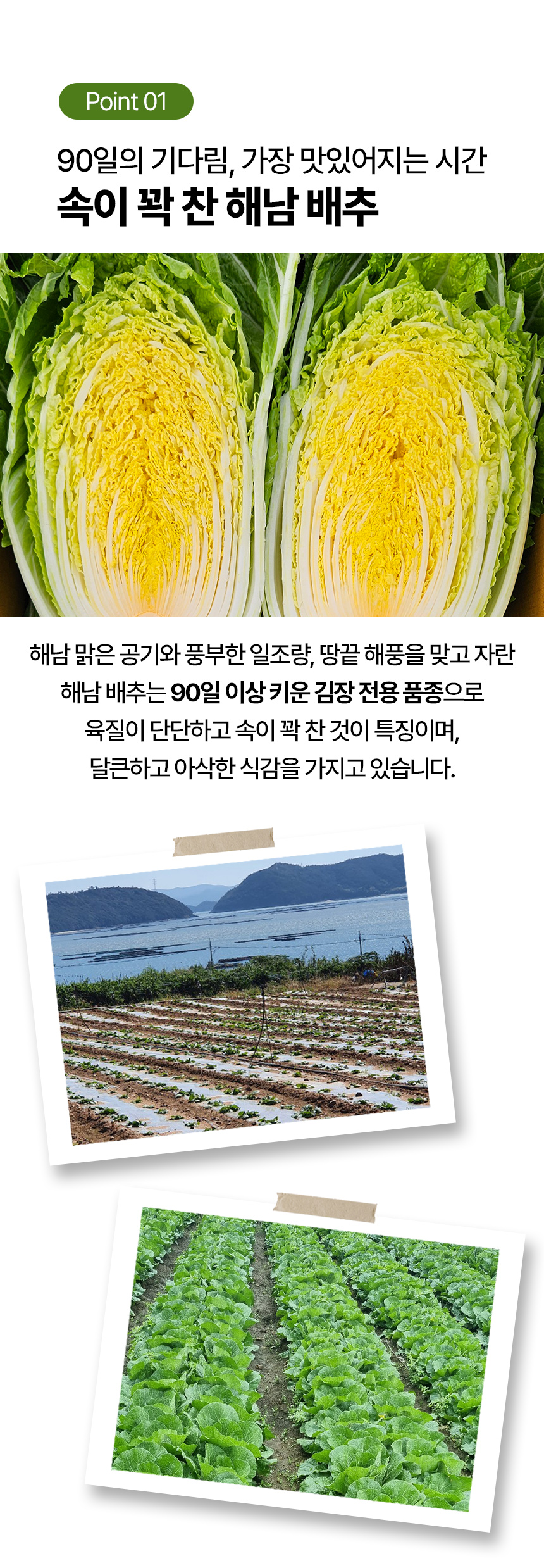 절임배추(마실농원)_상세페이지_04.jpg