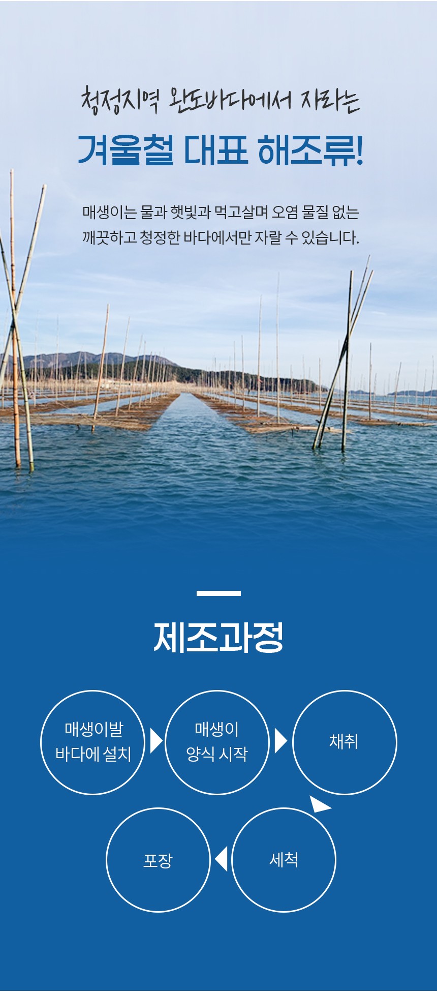 매생이 대용량_06.jpg