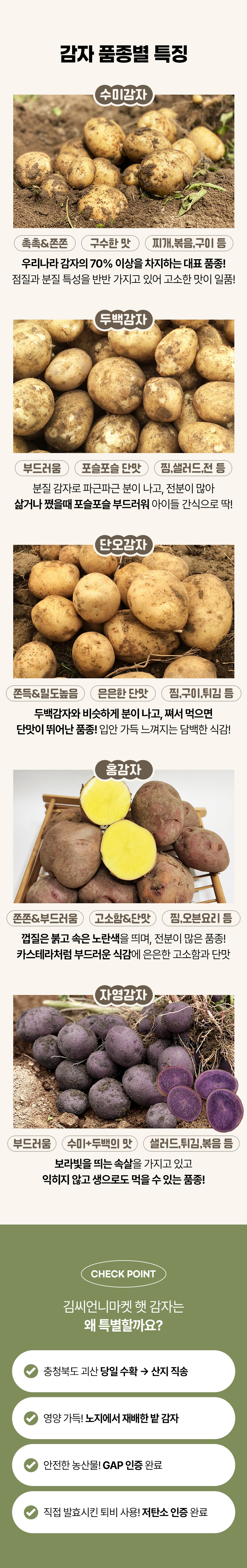 감자_03.jpg