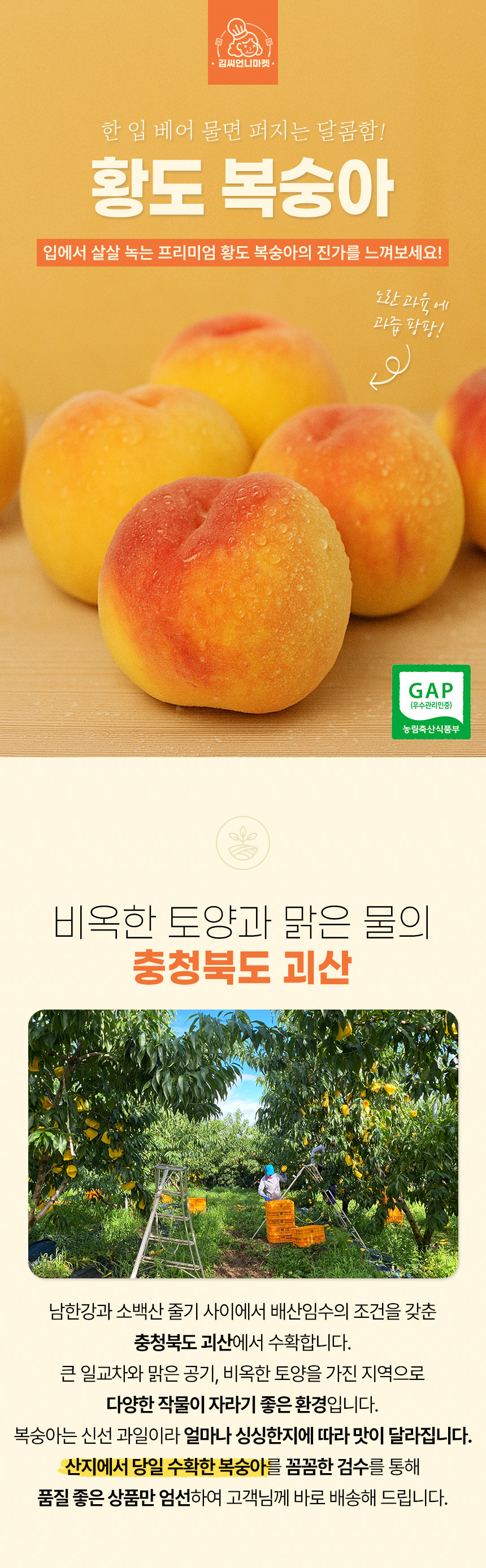황도 복숭아_01.jpg