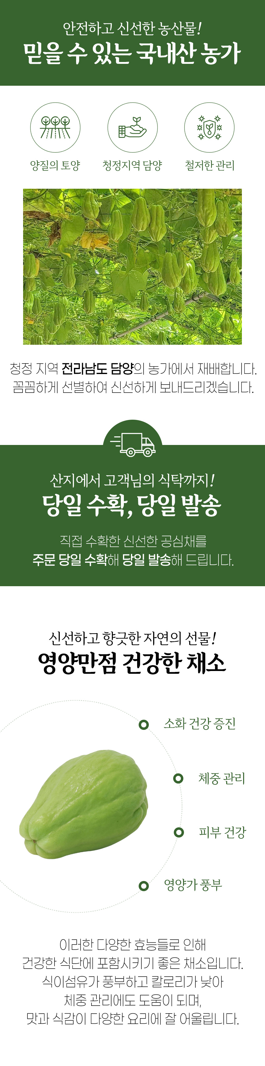 차요태_상세페이지_02.jpg