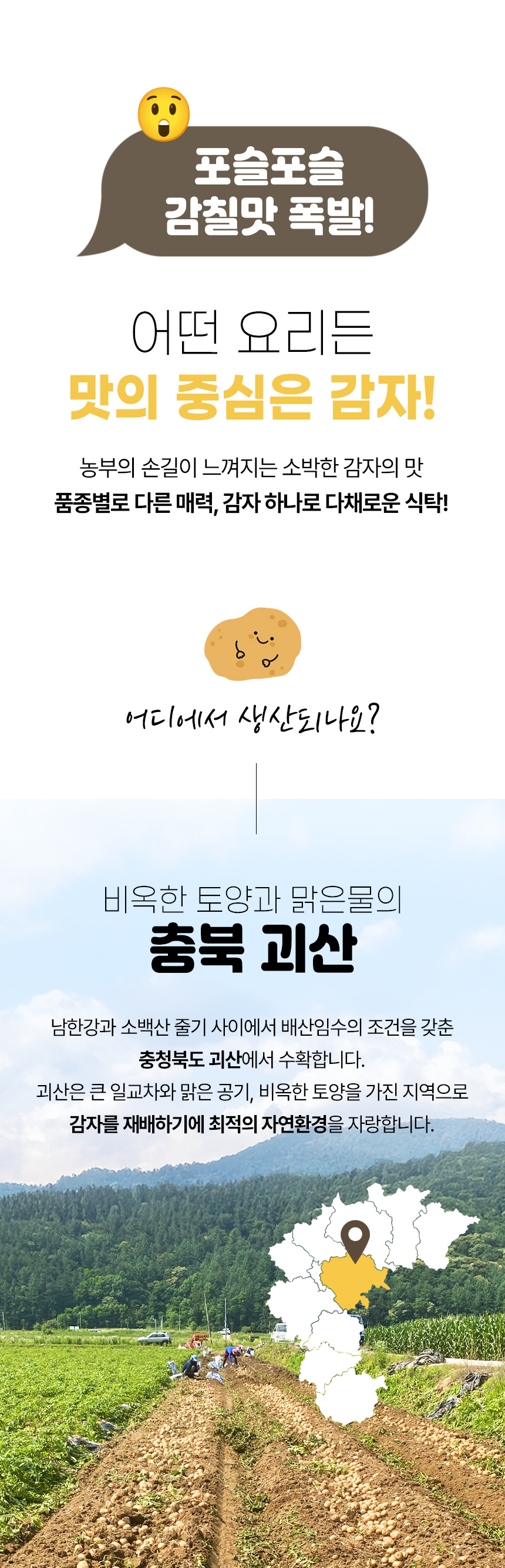 감자_02.jpg