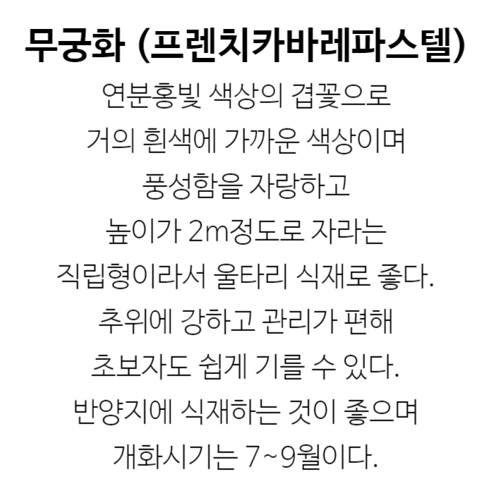 프렌치카바레파스텔 설명.jpg