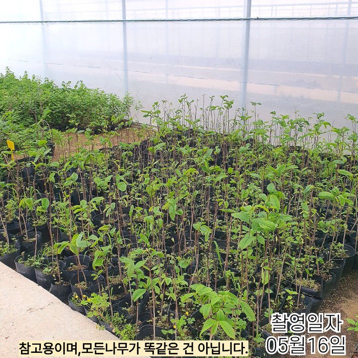 포포5_16-001 (1).jpg