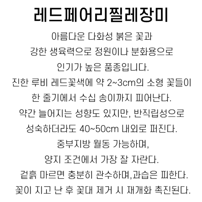 레드페어리박설명-001.jpg