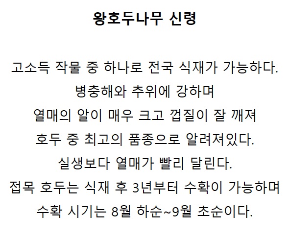 신령 상세설명.jpg