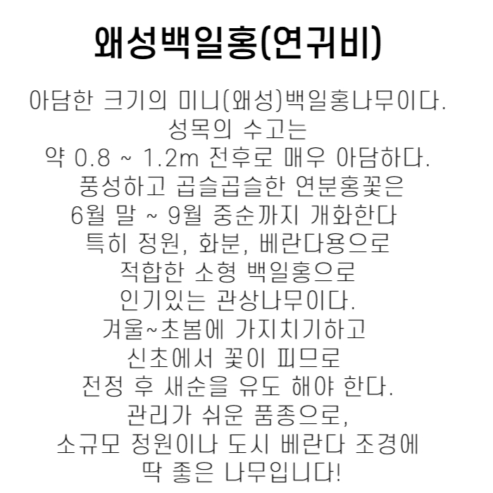 연귀비박설명-001.jpg