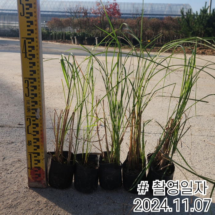 제목을-입력해주세요_-001 (6).jpg