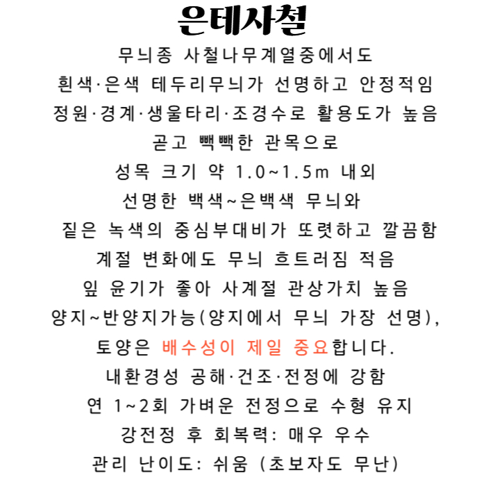 은태사철 설명-001.jpg