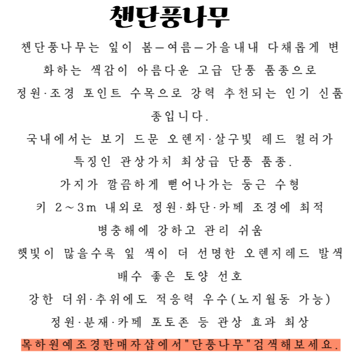 챈단풍나무 설명-001.jpg